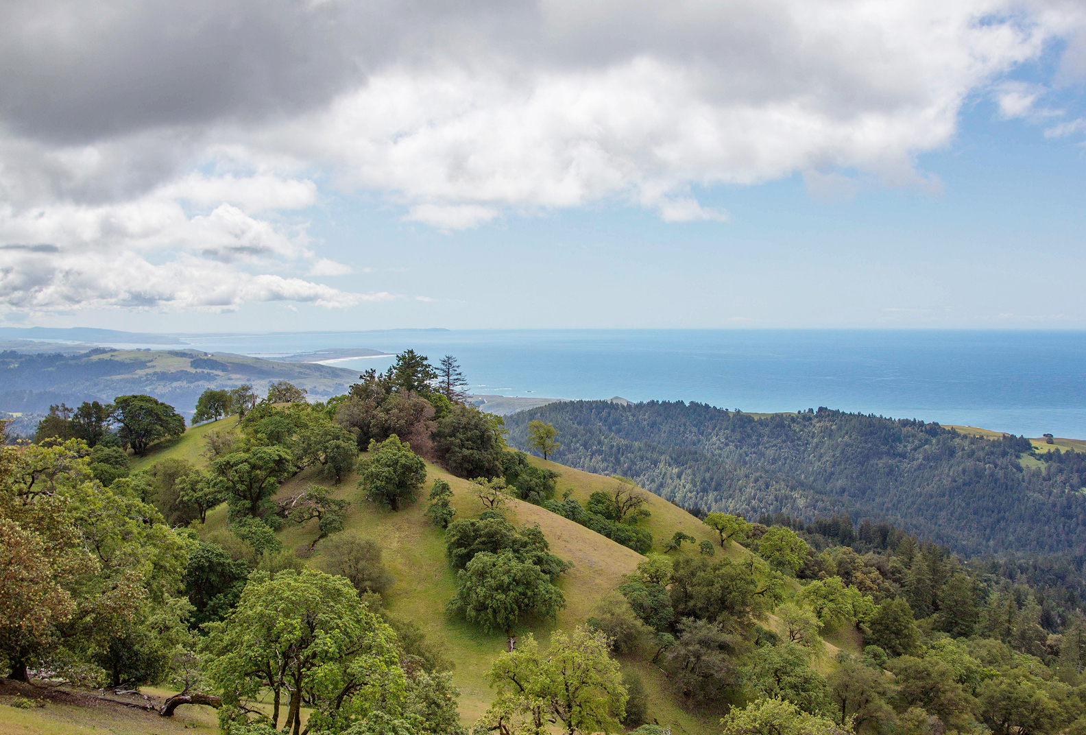 Rolling green hills, various tree species, and in the distance, waters, as viewed from a vista atop Pole Mountain.