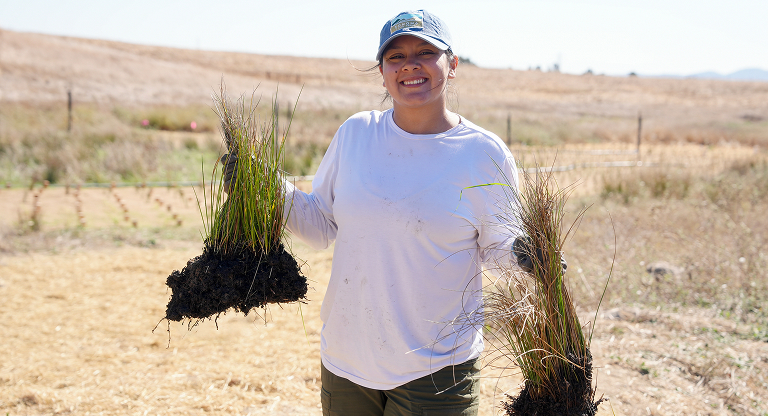 Volunteer holds up plant starts