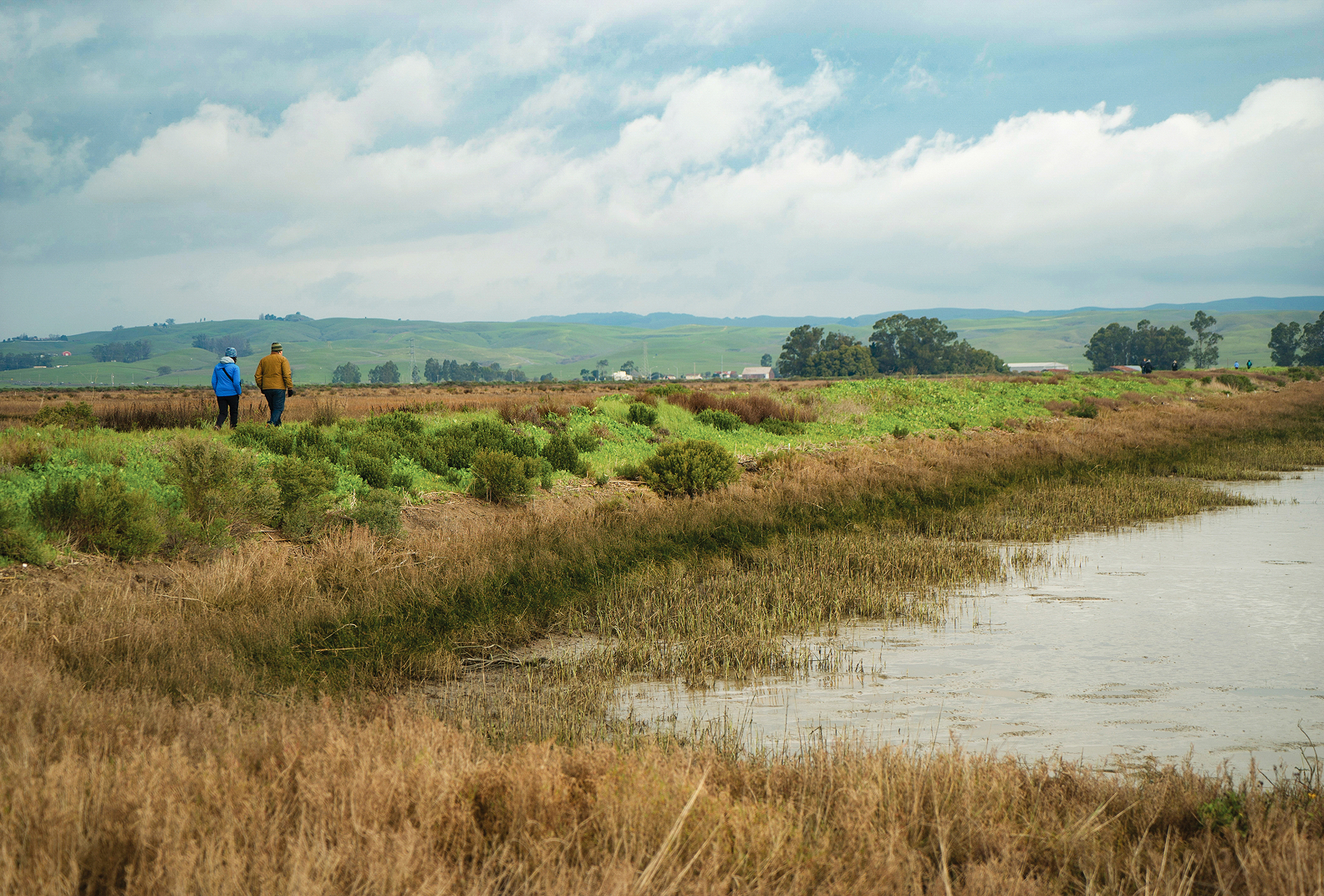 Two hikers on a walking trail at Sears Point Marsh.