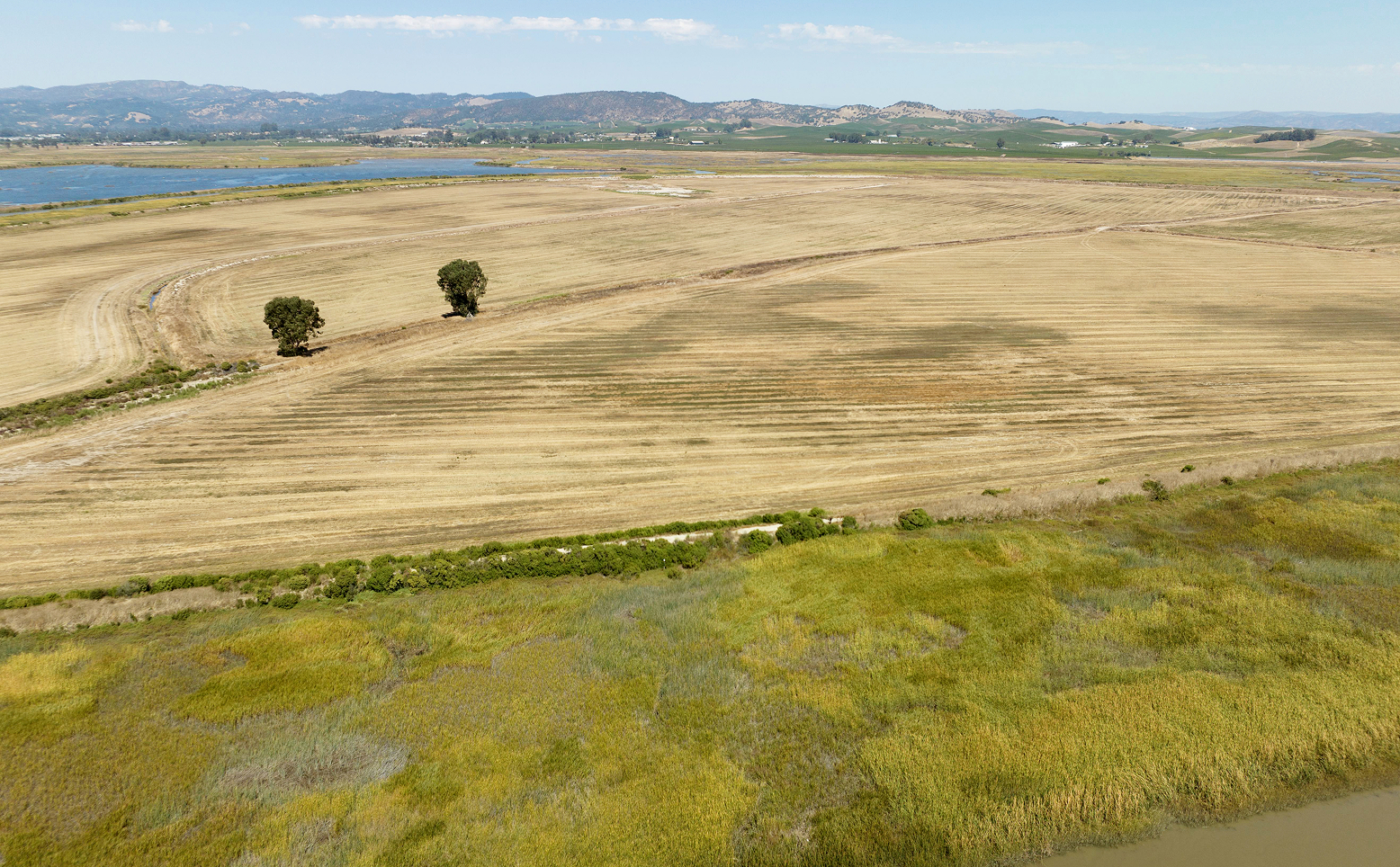 Vista aérea del Campo Cuatro