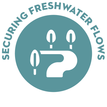 Securing freshwater flows icon