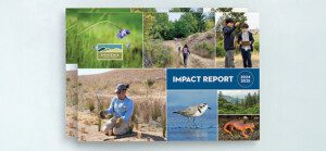 Cover of the 2024-2025 impact report.
