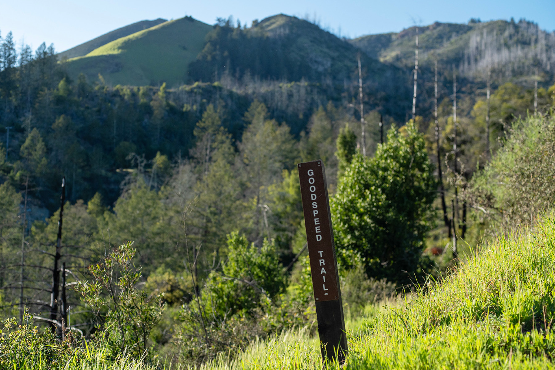 Vista taken at the Goodspeed Trail with signpost.