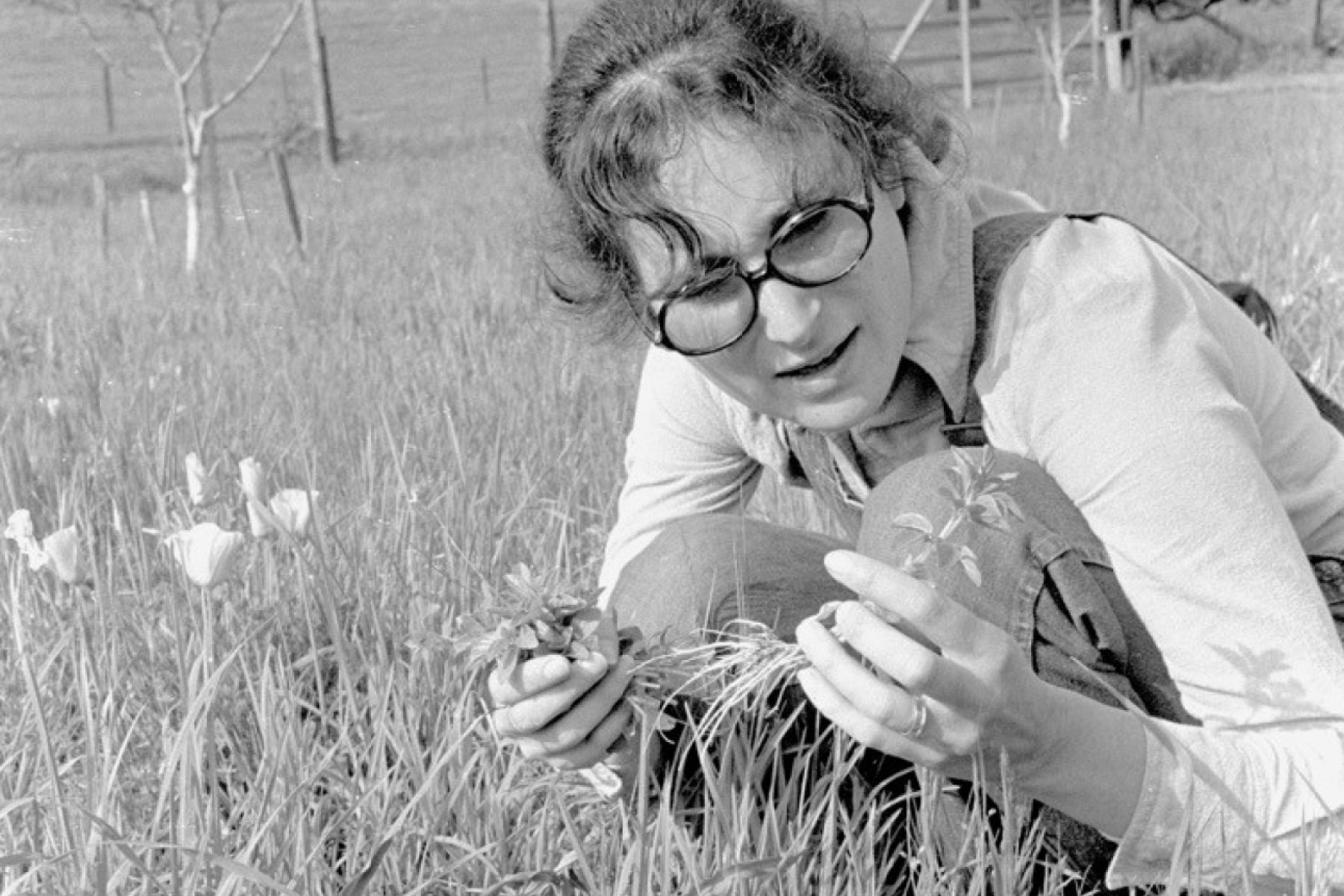 Joan Vilms holding plants with poppies nearby.