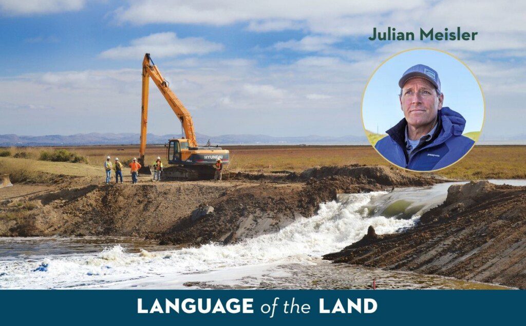 Julian Meisler Headshot with levee breech background.