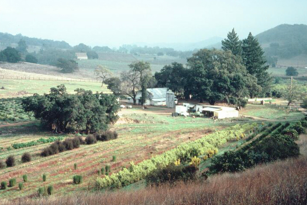 Oak Hill Farm in the 1970s.