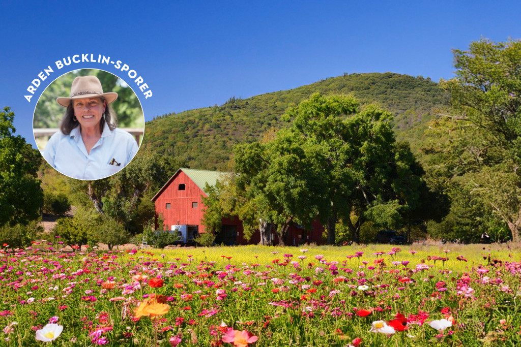 Field of wildflowers in bloom at Oak Hill Farm with inset headshot of Arden Bucklin-Sporer.