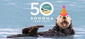Smiling otter floating on its back wearing a party hat with the anniversary logo above.