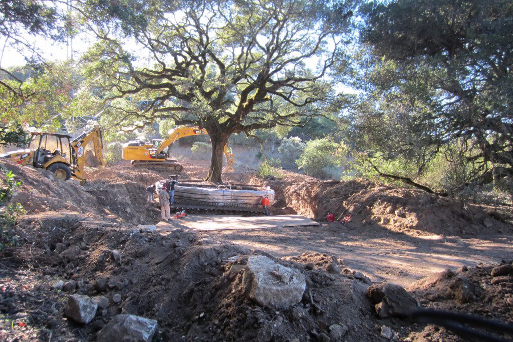 Bulldozer near an oak tree on the Drake property.