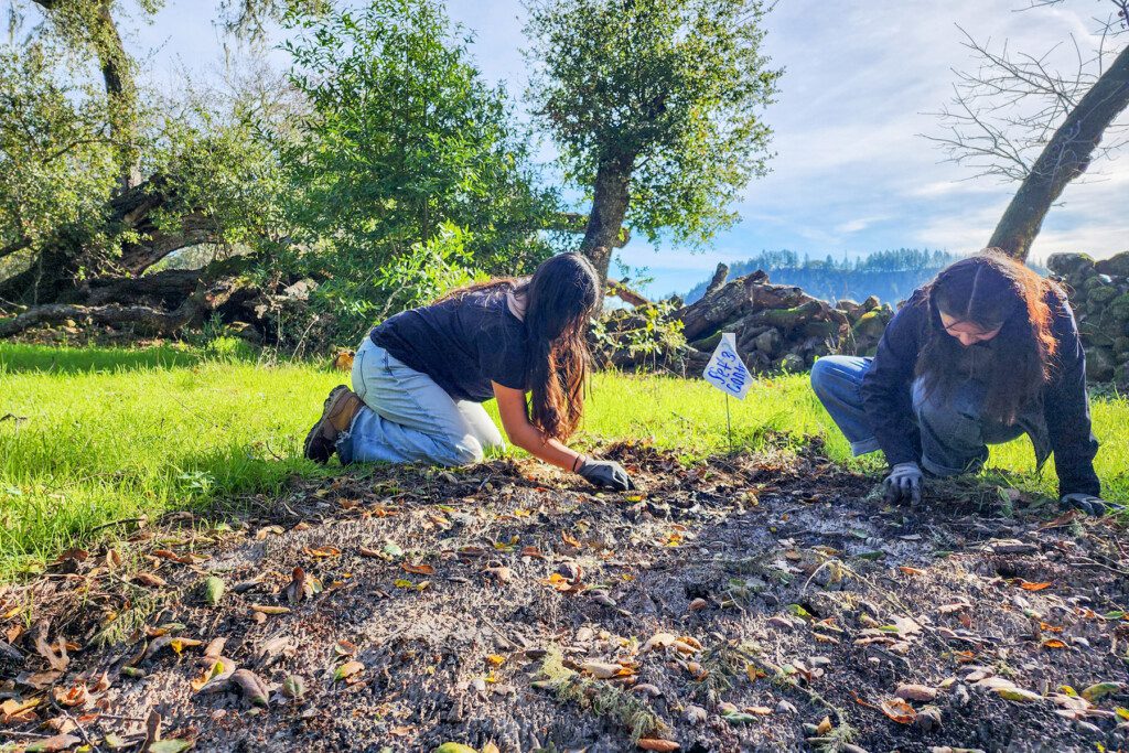 Conservation Council members working on the land.