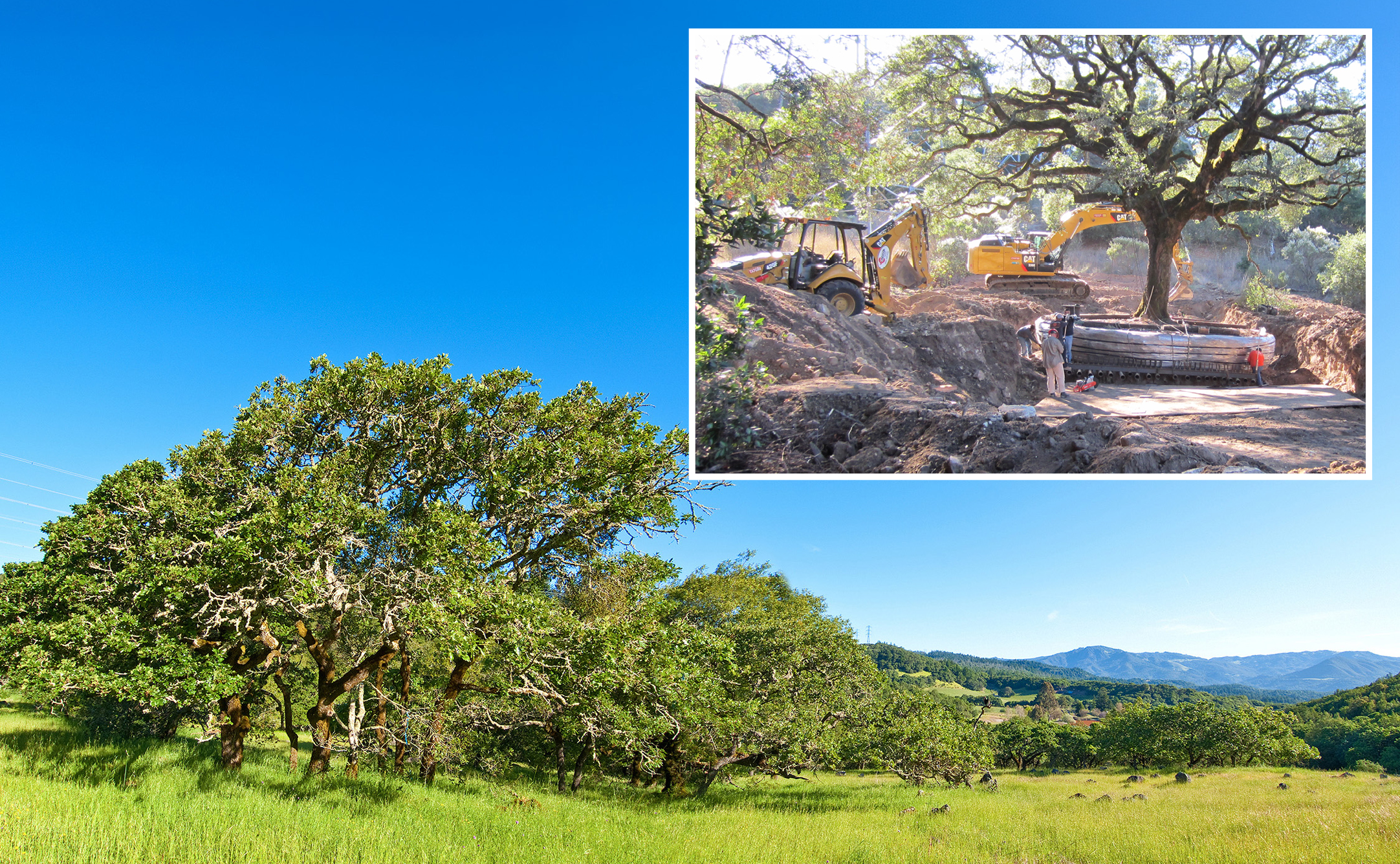 Trees, a grassy field and blue sky with inset of a bulldozer.