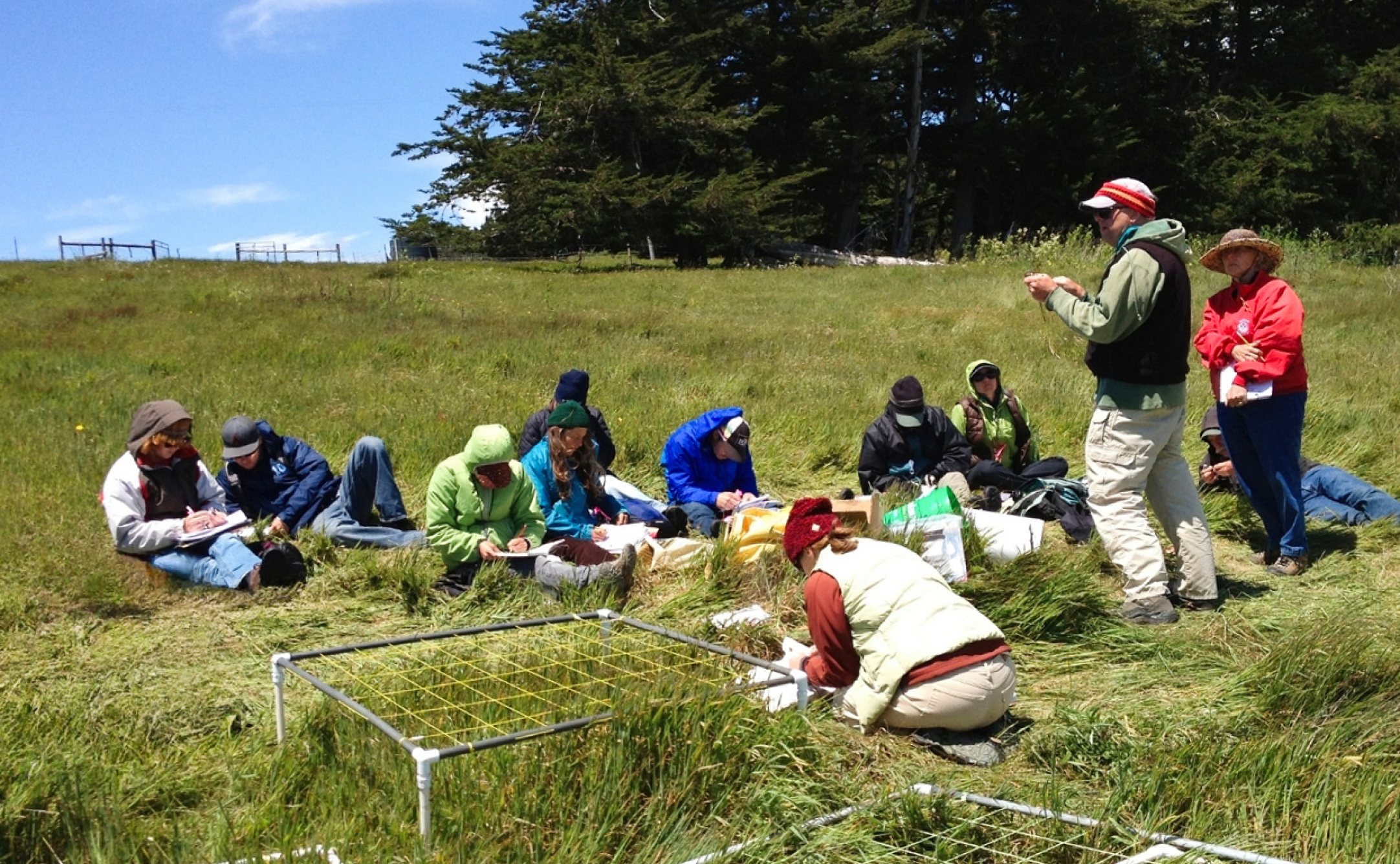 Voluntarios del Sonoma Land Trust recogiendo datos en un campo cubierto de hierba.