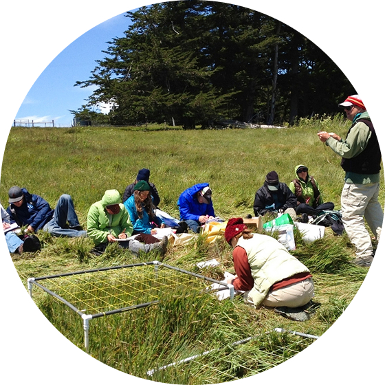 Grupo de personas tomando notas sobre conservación en un campo verde.