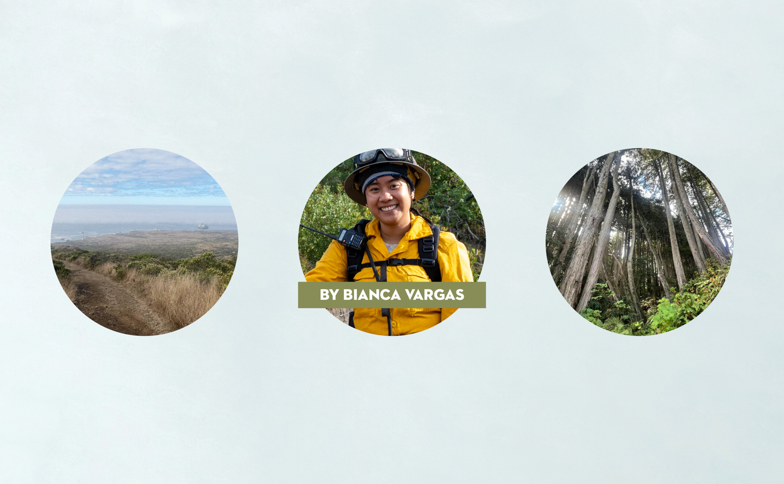 View of the Sonoma coast, a headshot of Bianca Vargas, and Monterey pines.