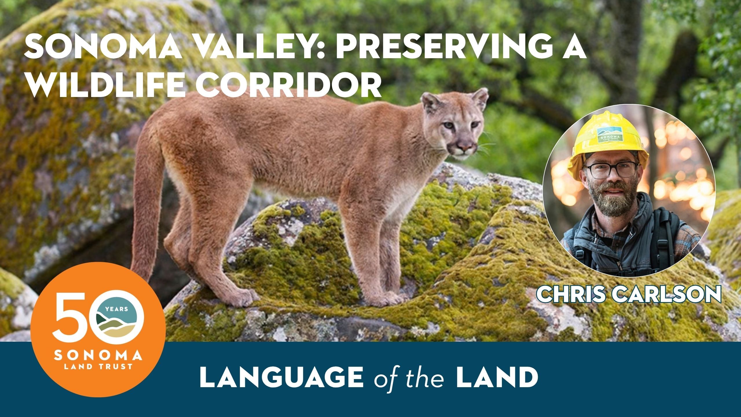 Language of the Land: Sonoma Valley: Preserving a Wildlife Corridor