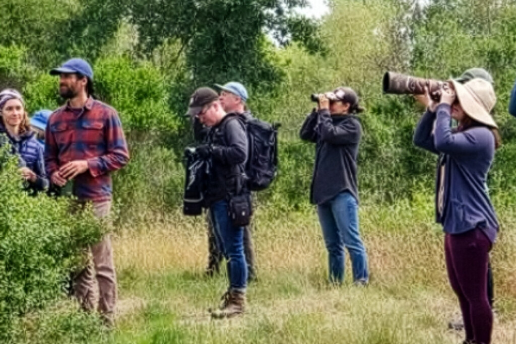 Miembros del Club Feminista de Pájaros en la naturaleza.