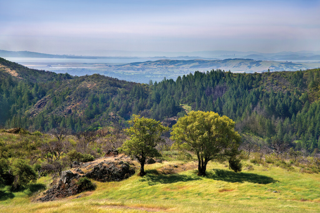 Fitzsimmons Ranch vista.