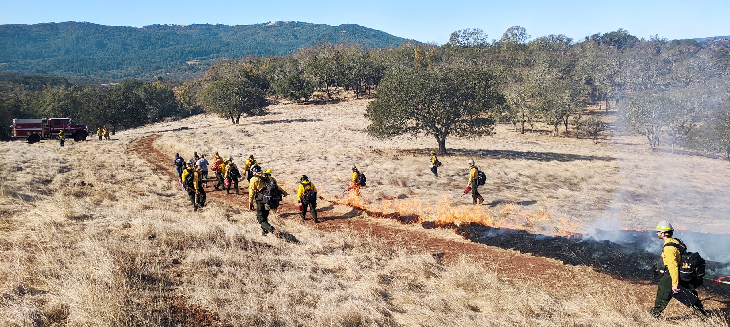 Firefighters at a prescribed burn.