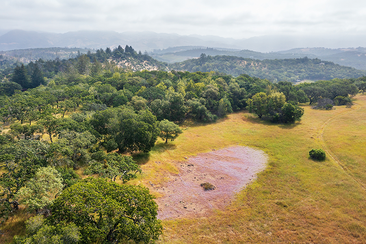 Aerial view of Vernal Pools.
