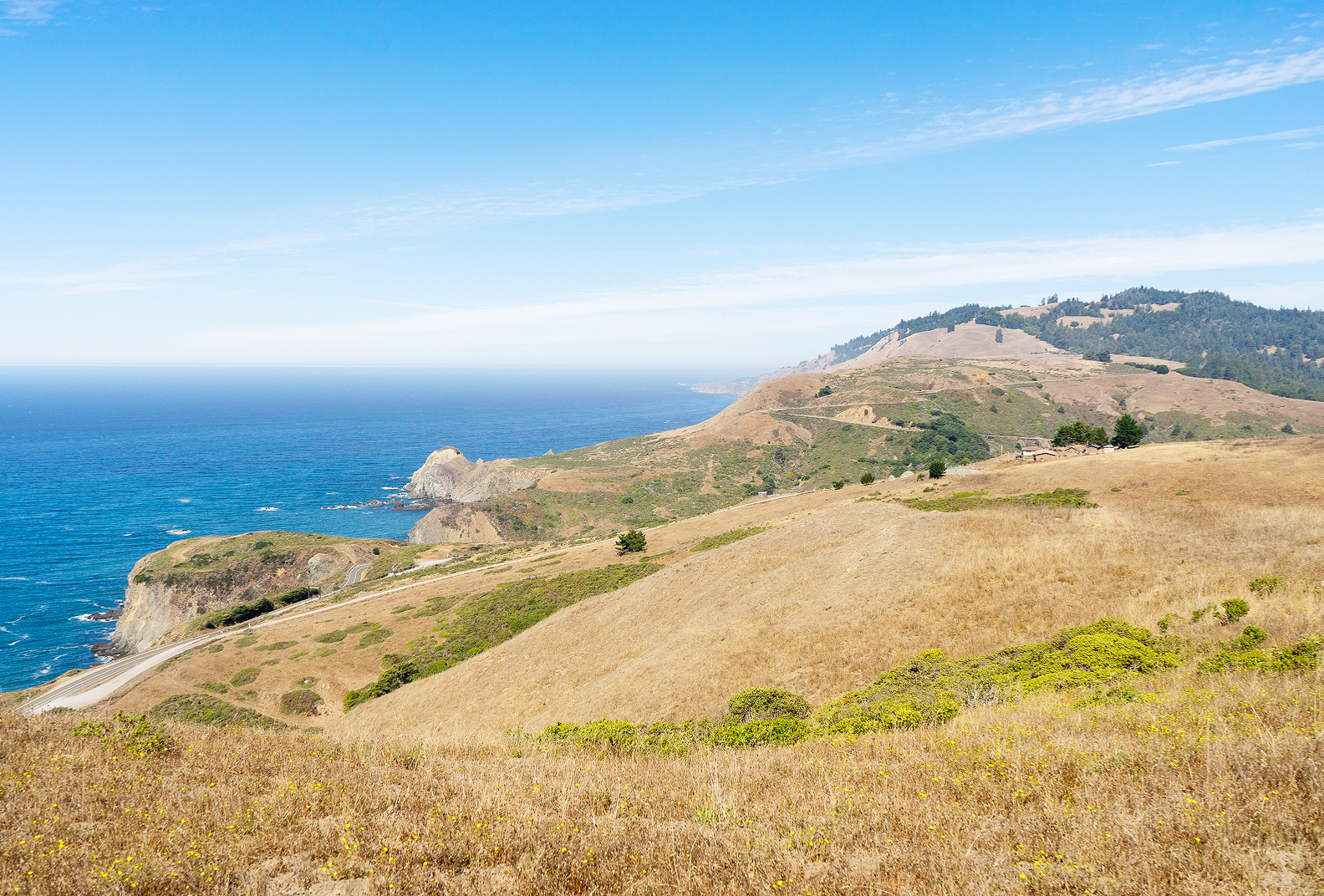 Jenner Headlands.