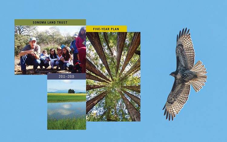 Cover of five-year strategic plan.