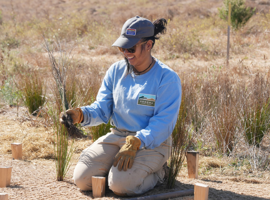 Volunteer completing a planting project.
