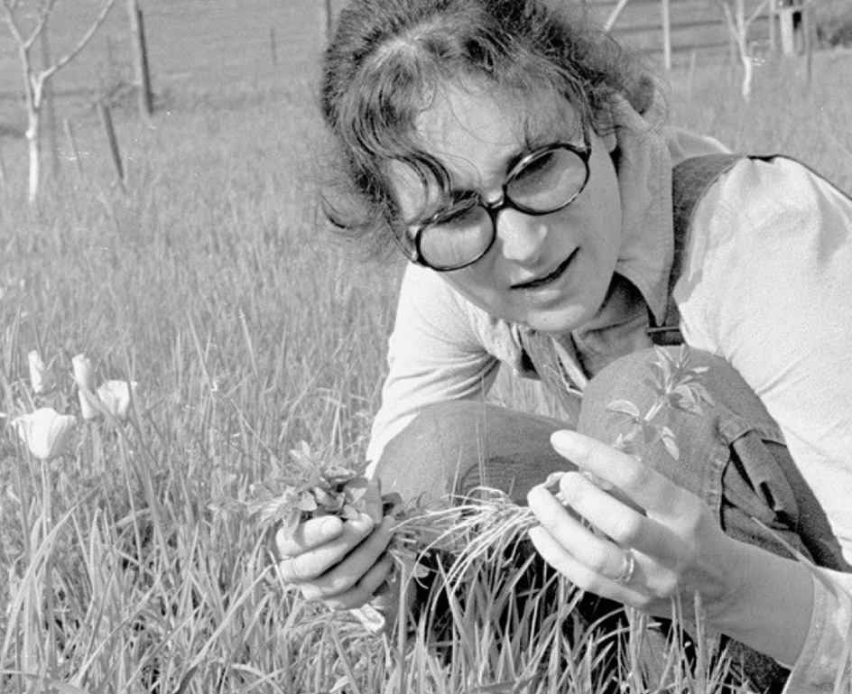 Joan Vilms in a field of grasses and flowers.