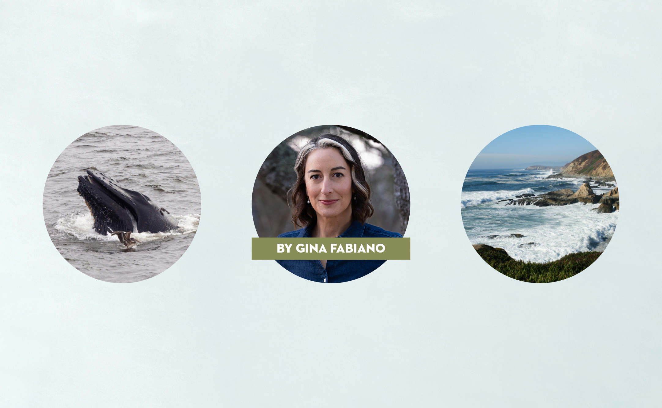 Three circle photos: humpback whale, Gina, Bodega coast