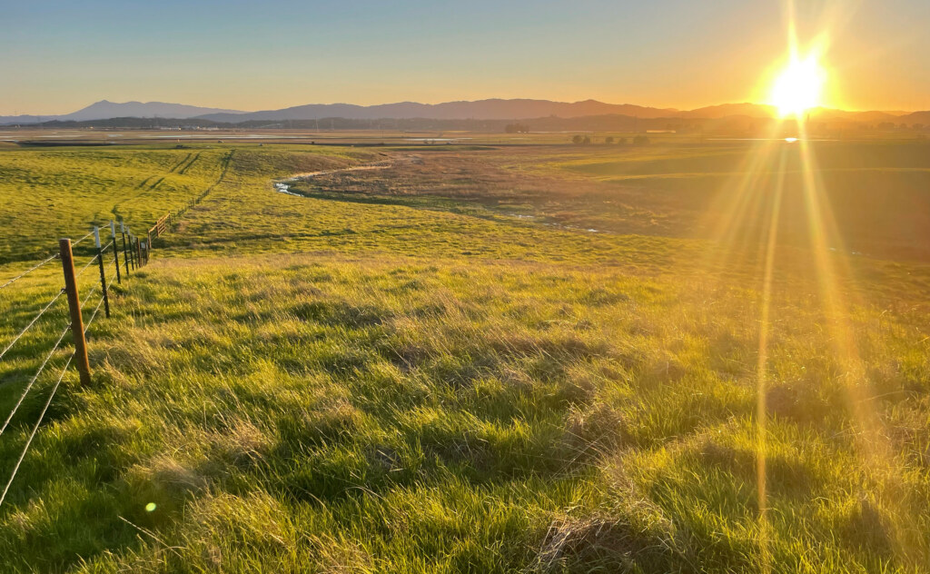 Lakeville Creek at sunset with sun flare.