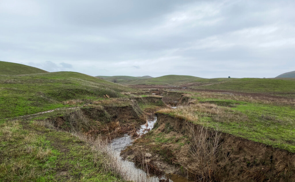 Lakeville Creek before restoration showing erosion.