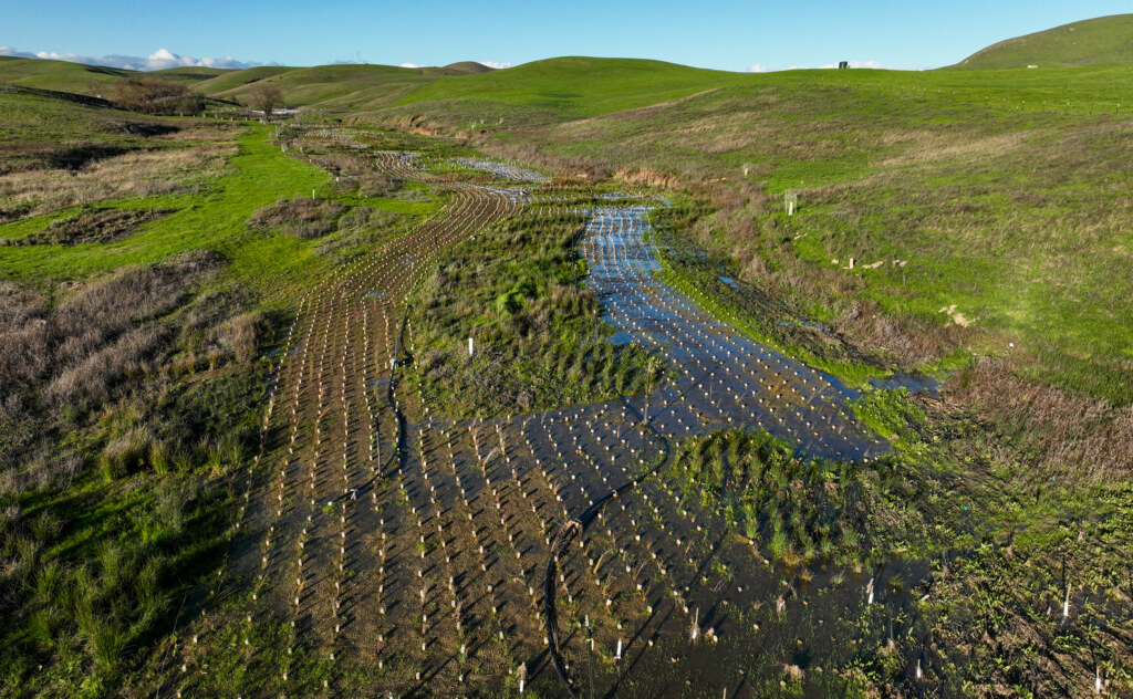 Lakeville Creek aerial featuring restoration netting and wattles.