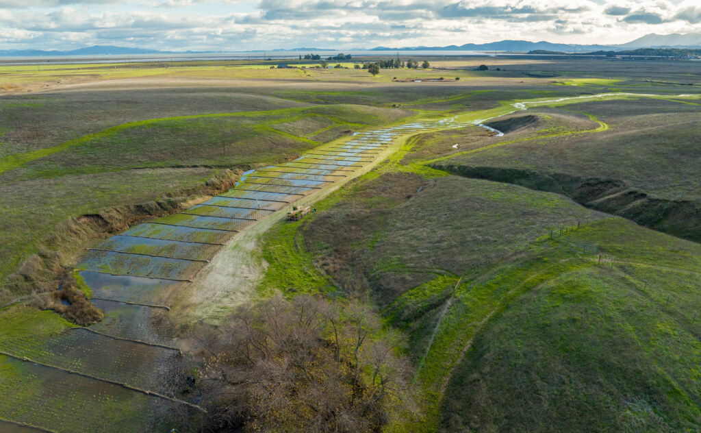 Lakeville Creek aerial after restoration.
