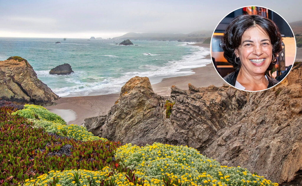 Rocks, plants and waves at the Sonoma Coast.