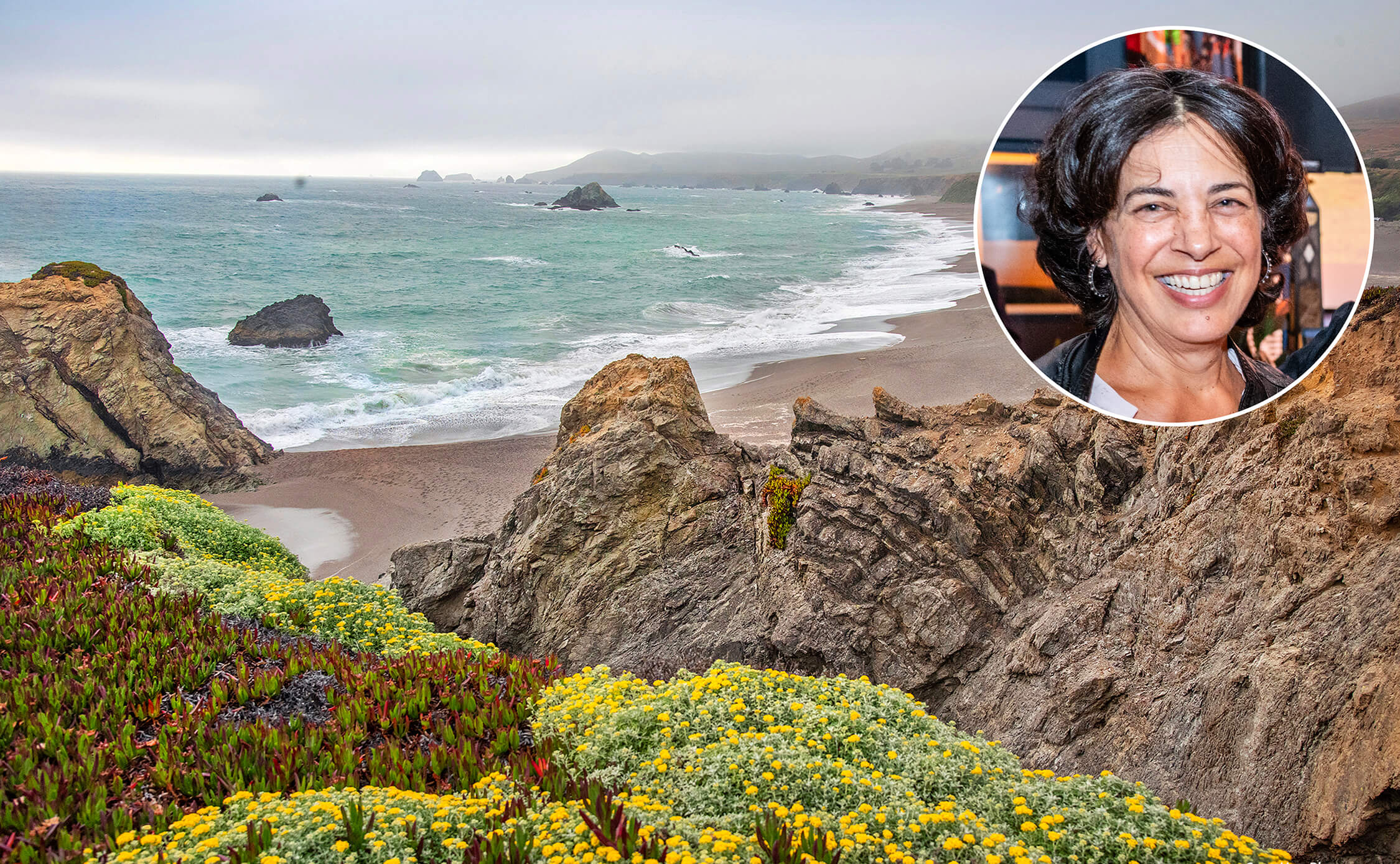 Rocks, plants and waves at the Sonoma Coast.