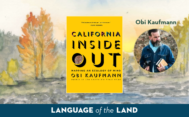 obi-kaufmann